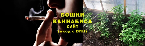 шишки Беломорск