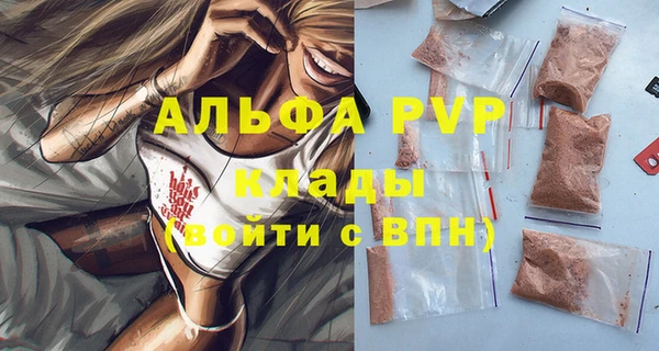 шишки Беломорск