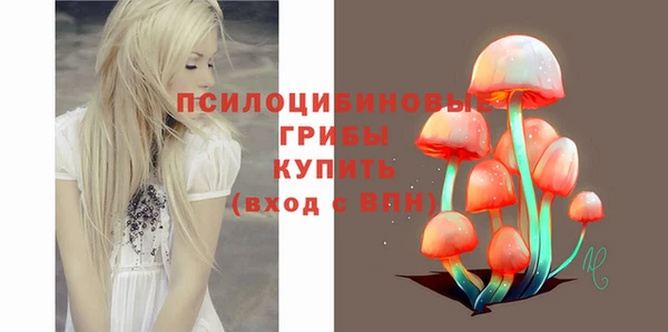 шишки Беломорск