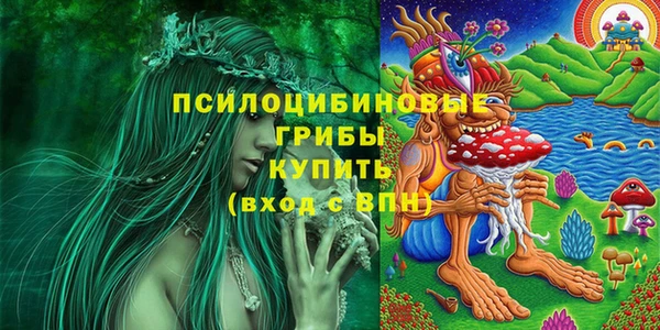 шишки Беломорск