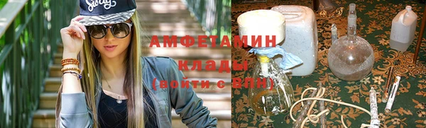 шишки Беломорск