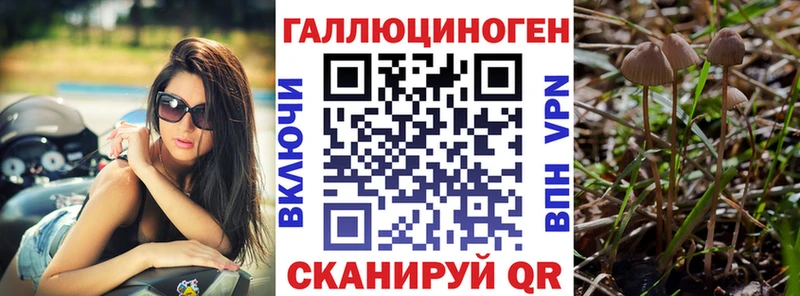 Галлюциногенные грибы ЛСД  Нерехта 